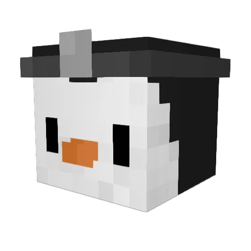 DoctorSoy Minecraft avatar head, 3D render