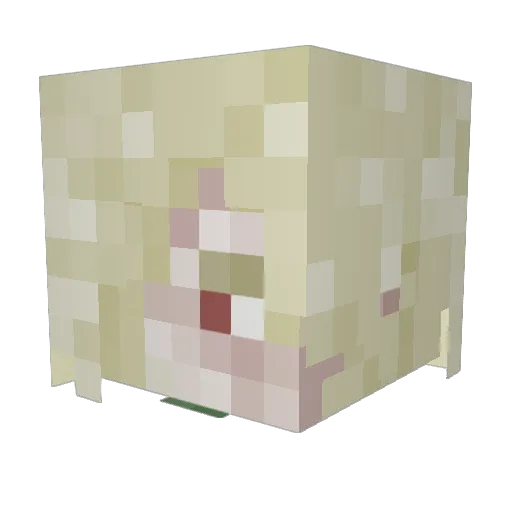 DoctorSpooky Minecraft avatar head, 3D render