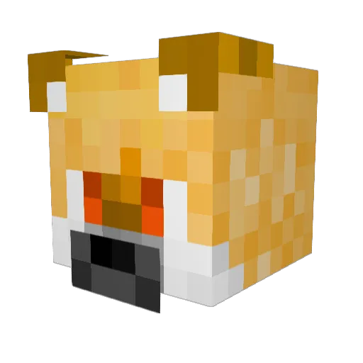 DoctorSunsum Minecraft avatar head, 3D render