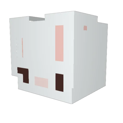 DoctorTame Minecraft avatar head, 3D render