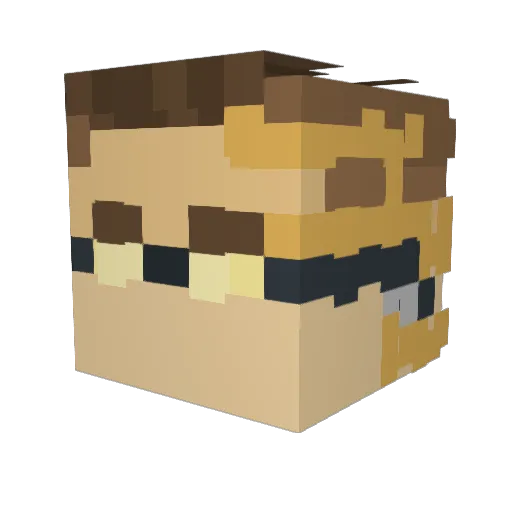 DoctorTamer Minecraft avatar head, 3D render