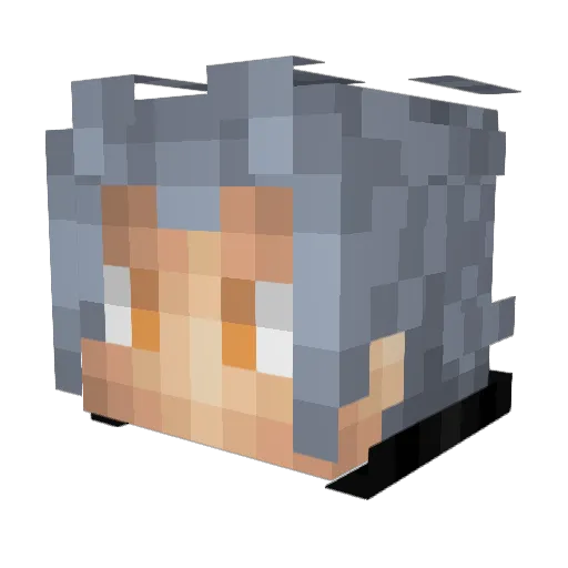 DoctorTricky Minecraft avatar head, 3D render