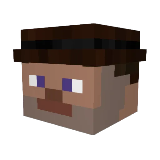 DoctorVasquez Minecraft avatar head, 3D render