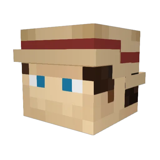 DoctorWaffles_ Minecraft avatar head, 3D render