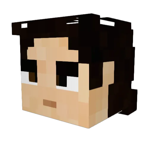 DoctorWatt Minecraft avatar head, 3D render
