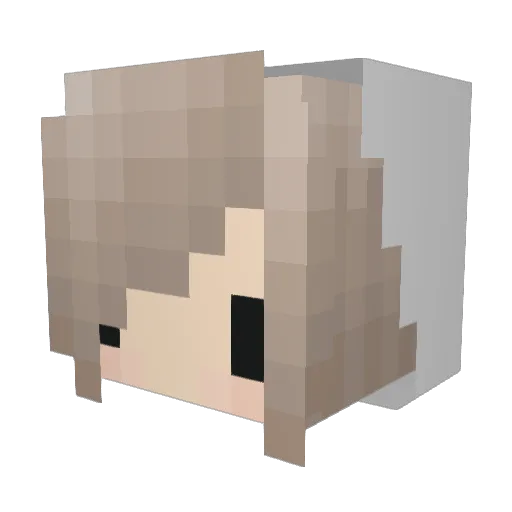 DoctorWhoMe Minecraft avatar head, 3D render