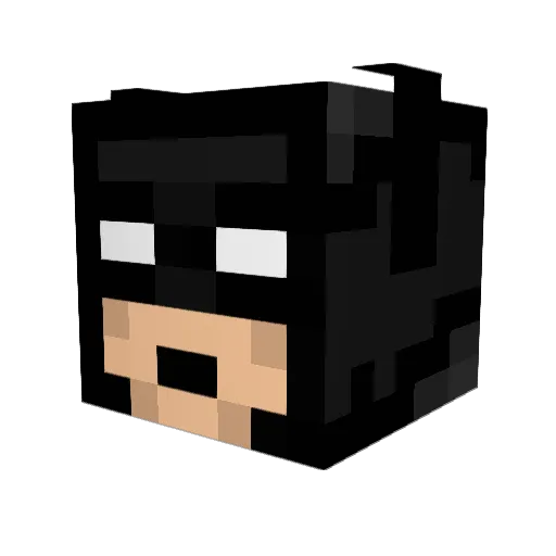DoctorWings Minecraft avatar head, 3D render