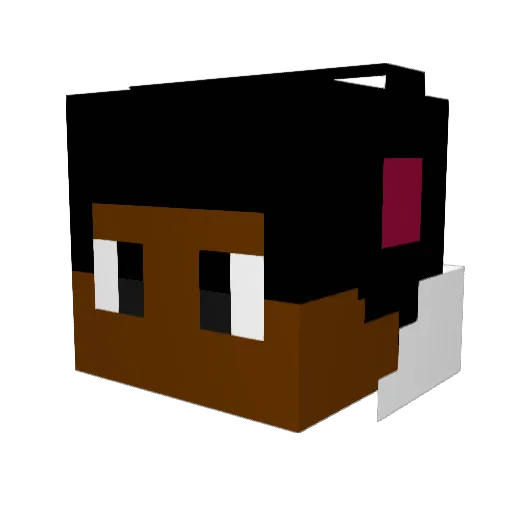 DoctorWobbly Minecraft avatar head, 3D render