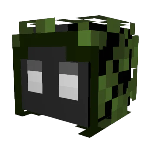 DoctorWood1 Minecraft avatar head, 3D render
