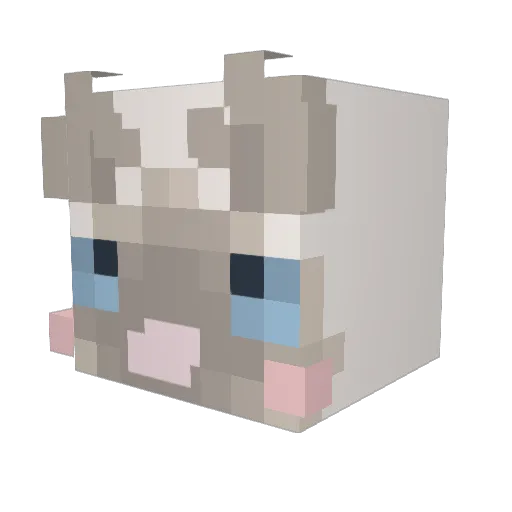 DoctorZzoMD Minecraft avatar head, 3D render