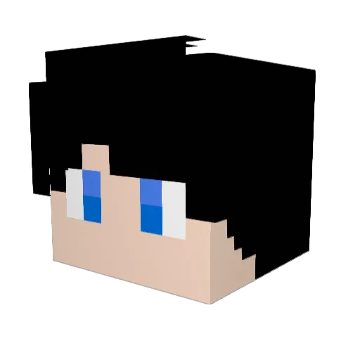 Doctor_0f_TARDIS Minecraft avatar head, 3D render