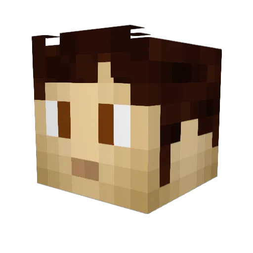 Doctor_1708 Minecraft avatar head, 3D render