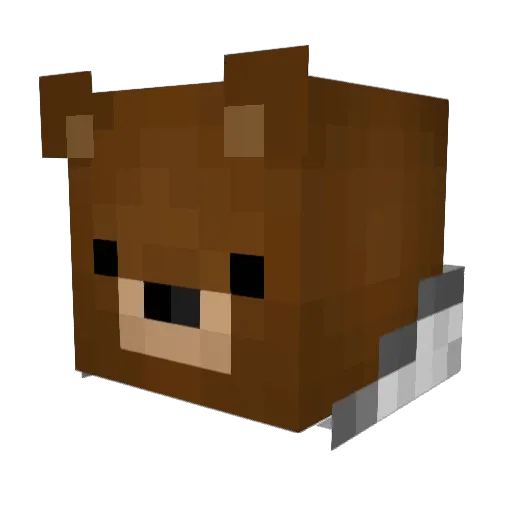 Doctor_Baby Minecraft avatar head, 3D render