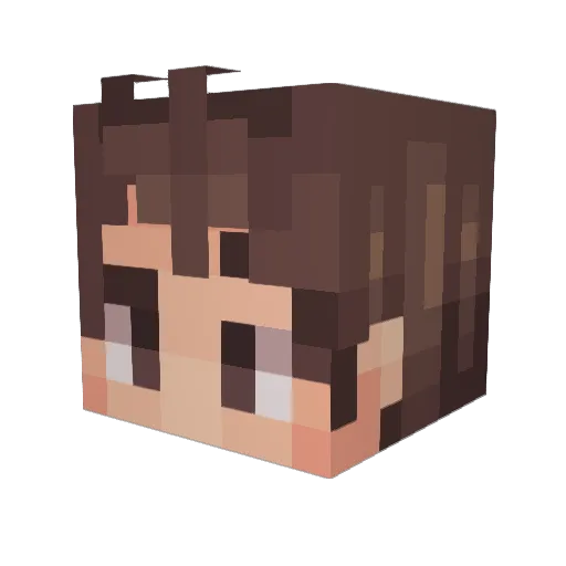 Doctor_Bond Minecraft avatar head, 3D render
