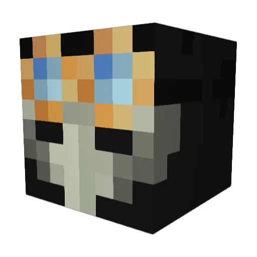Doctor_Calcium Minecraft avatar head, 3D render