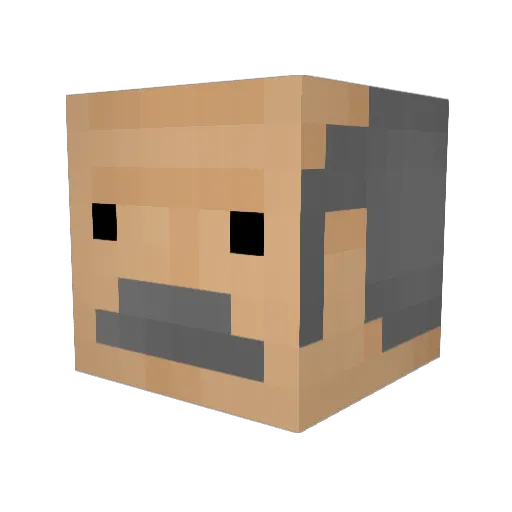 Doctor_Fil Minecraft avatar head, 3D render