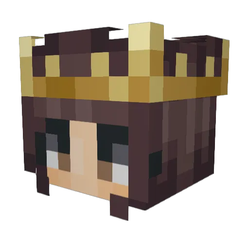 Doctor_I Minecraft avatar head, 3D render