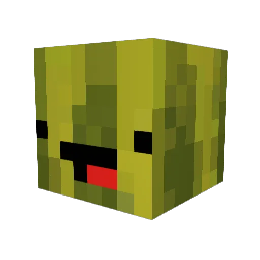 Doctor_Melon Minecraft avatar head, 3D render