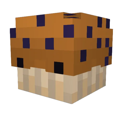 Doctor_Muffin Minecraft avatar head, 3D render