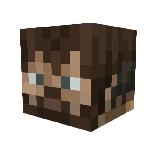 Doctor_Pepper42 Minecraft avatar head, 3D render