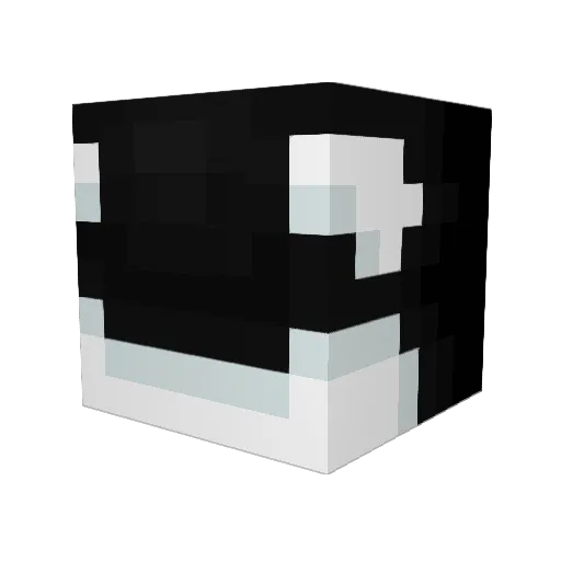 Doctor_President Minecraft avatar head, 3D render
