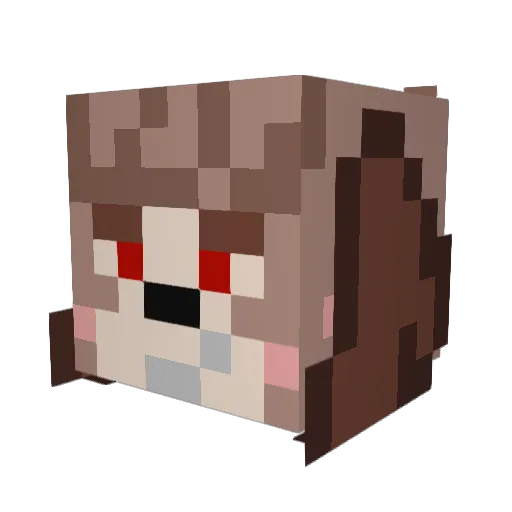 Doctor_Puppy Minecraft avatar head, 3D render
