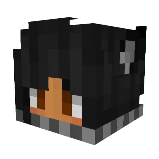 Doctor_Rosales Minecraft avatar head, 3D render