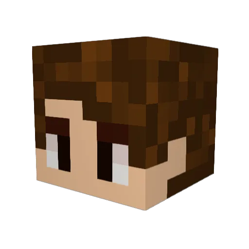 Doctor_Tycho Minecraft avatar head, 3D render
