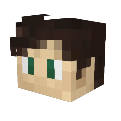 Doctor_Whovian13 Minecraft avatar head, 3D render