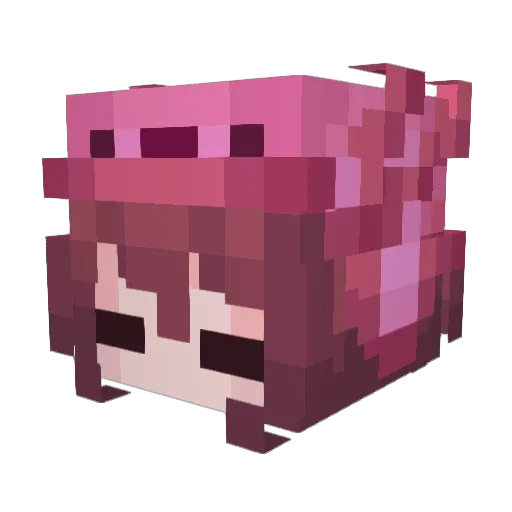Doctor_Worm216 Minecraft avatar head, 3D render