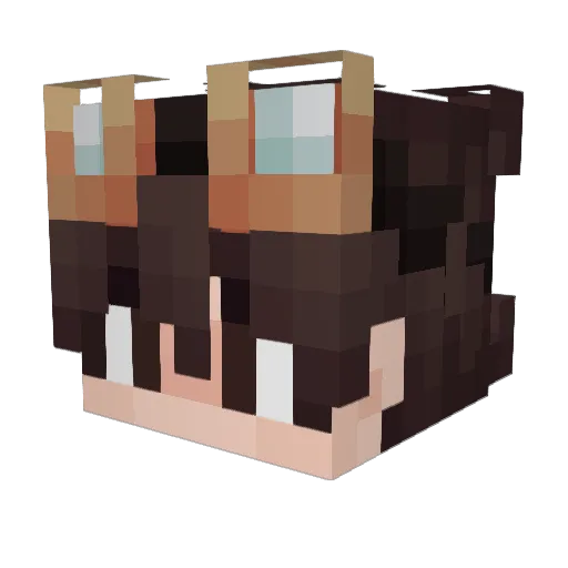 Doctor_stove Minecraft avatar head, 3D render