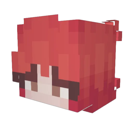 Doctorek Minecraft avatar head, 3D render