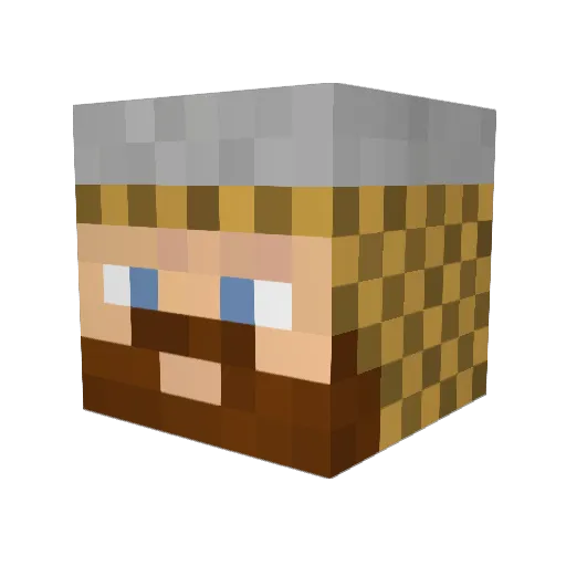 Doctorflux Minecraft avatar head, 3D render