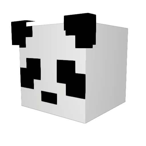 DoctorlySteam46 Minecraft avatar head, 3D render