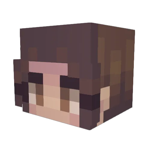 Doctormommy1 Minecraft avatar head, 3D render