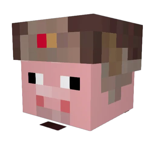 Doctorpigsley Minecraft avatar head, 3D render