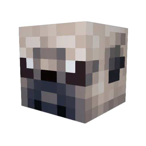 Doctorpug5000 Minecraft avatar head, 3D render