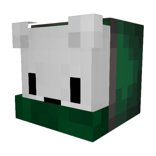 DoctorsPolarbear Minecraft avatar head, 3D render