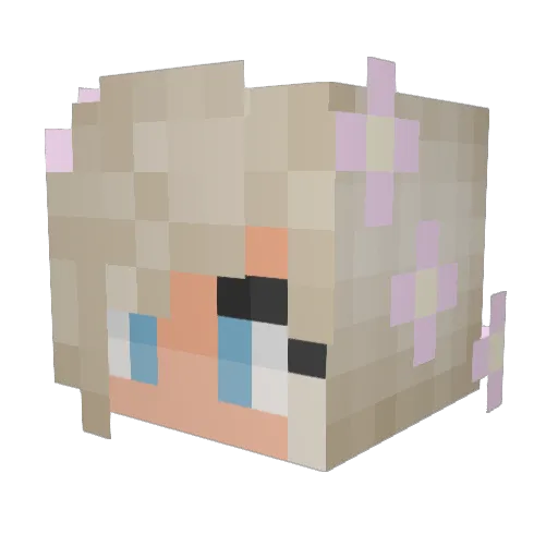 Doda213 Minecraft avatar head, 3D render