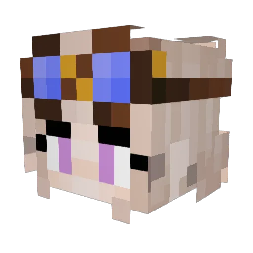 Dodalgo Minecraft avatar head, 3D render