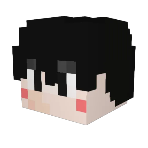Dodda_ Minecraft avatar head, 3D render