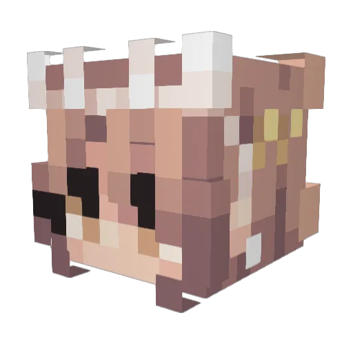 DodderyFungus77 Minecraft avatar head, 3D render