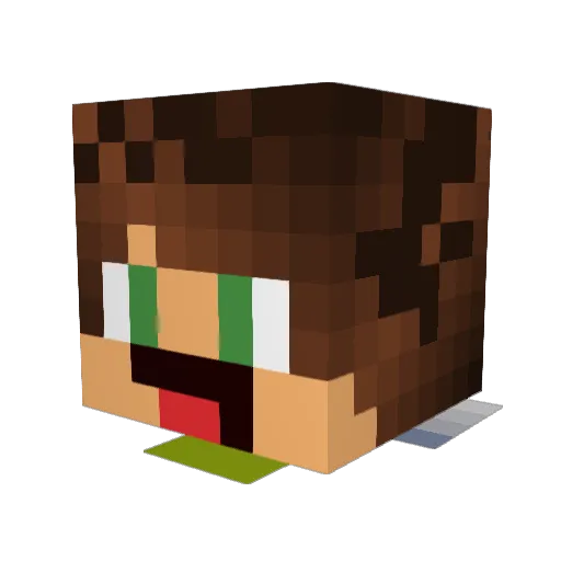 Dodeen Minecraft avatar head, 3D render