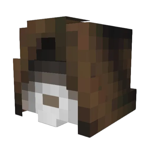 DodgingAir Minecraft avatar head, 3D render