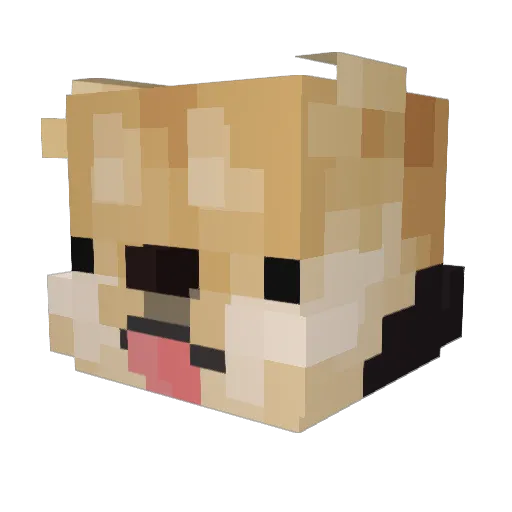 Dodgy_Doge Minecraft avatar head, 3D render