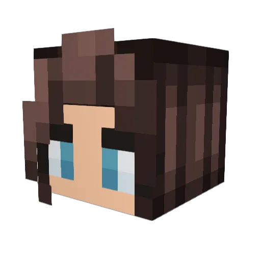 Dodo0711 Minecraft avatar head, 3D render