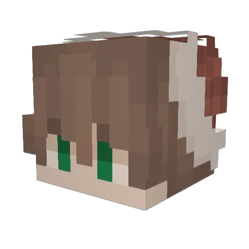 DodoBird227 Minecraft avatar head, 3D render