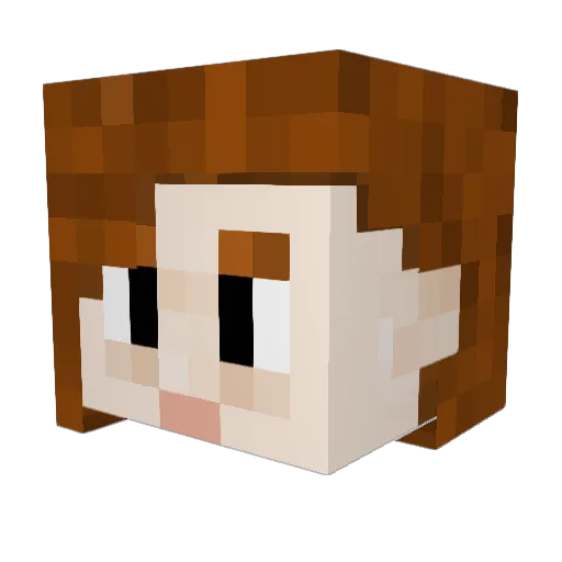 DodoFeathers Minecraft avatar head, 3D render