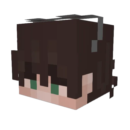 Dodocat_2010 Minecraft avatar head, 3D render