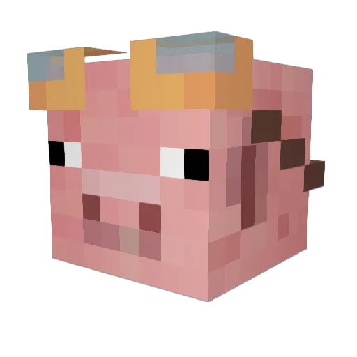Dodorex_40 Minecraft avatar head, 3D render